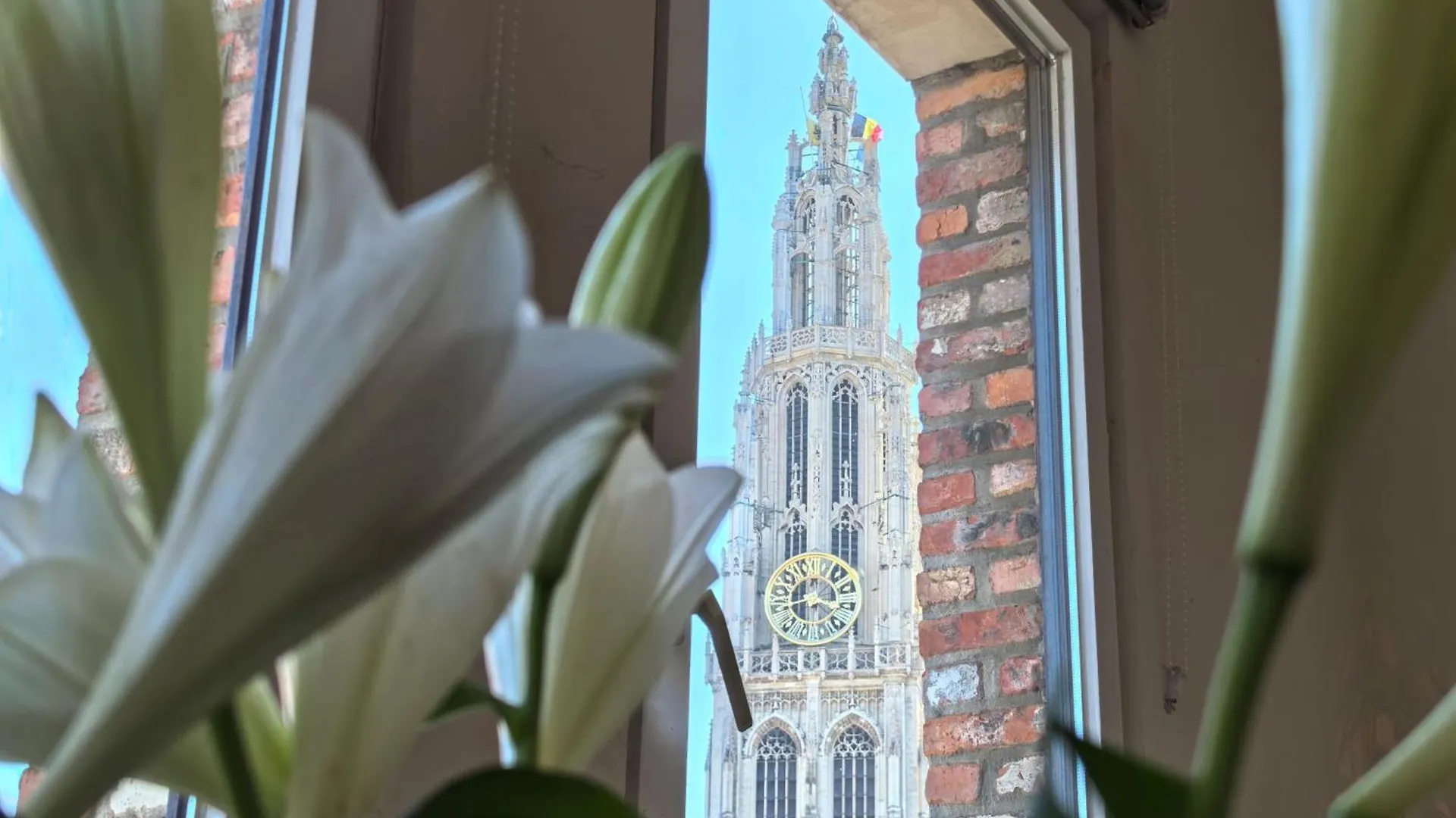 Historical Center Antwerp, All On Foot